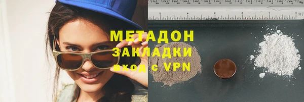 прущие грибы Медногорск