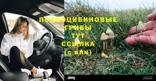 ГАЛЛЮЦИНОГЕННЫЕ ГРИБЫ Володарск