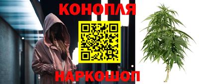 apvp Тулун