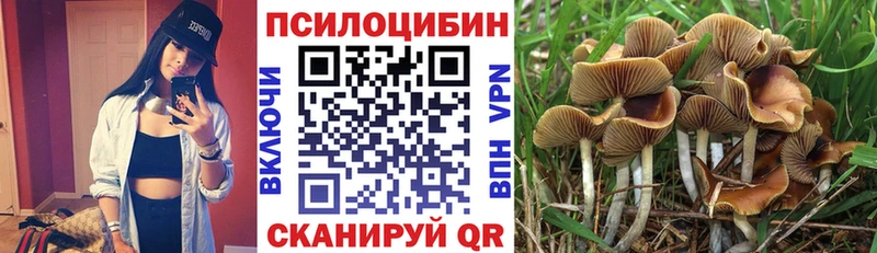 Псилоцибиновые грибы MAGIC MUSHROOMS  Ноябрьск 